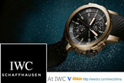 International Watch Company IWC